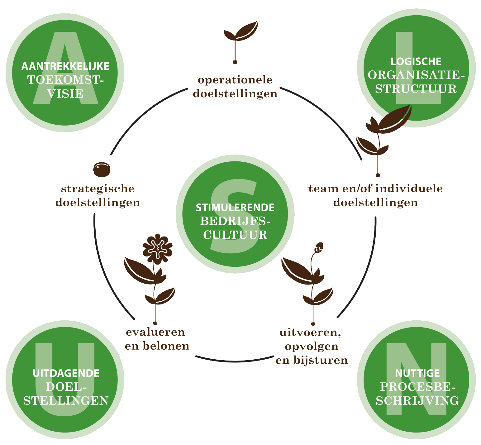 alnus groeiboosterschema