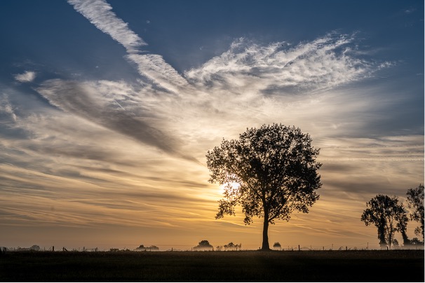 Waarom duidelijkheid creëren zo moeilijk is