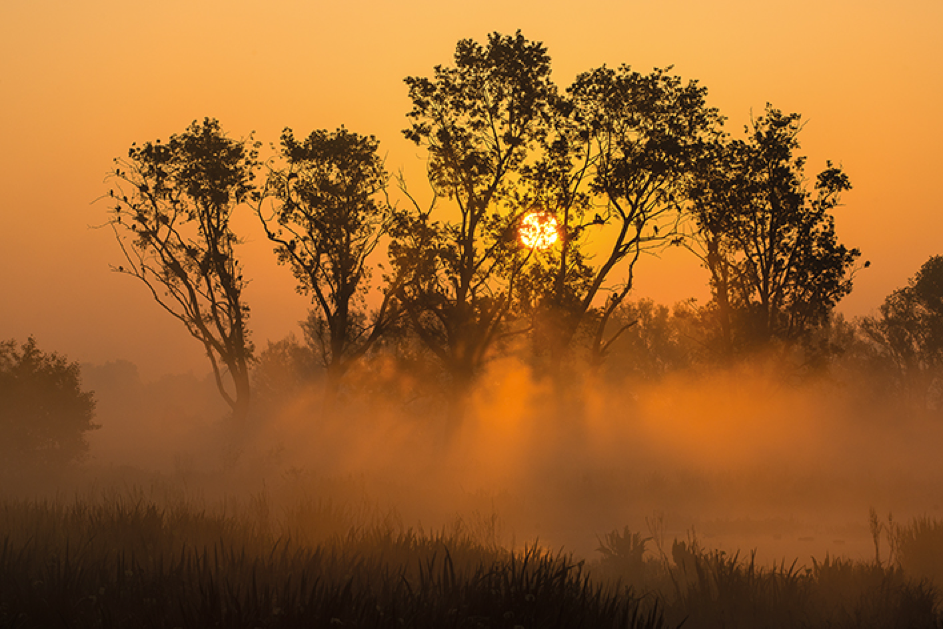 Druk, druk, druk… Durf tijd nemen voor reflectie!