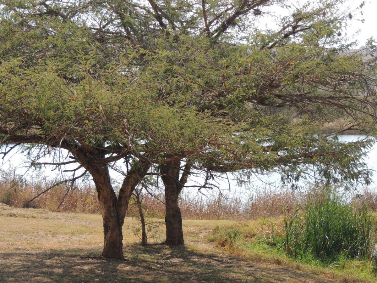 alnus - Tips bij de opmaak van je prioriteitenlijst voor 2018