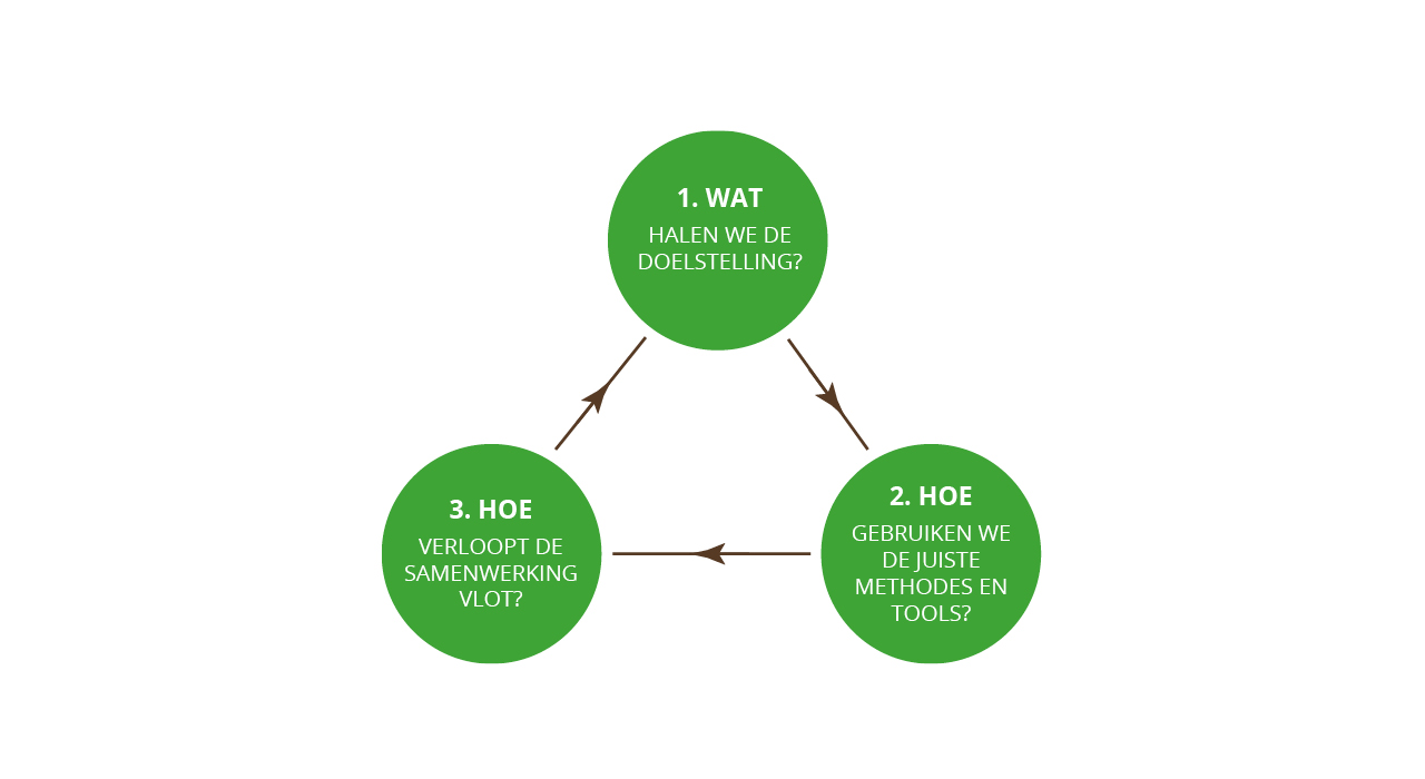 alnus leren uit ervaringen grafische voorstelling