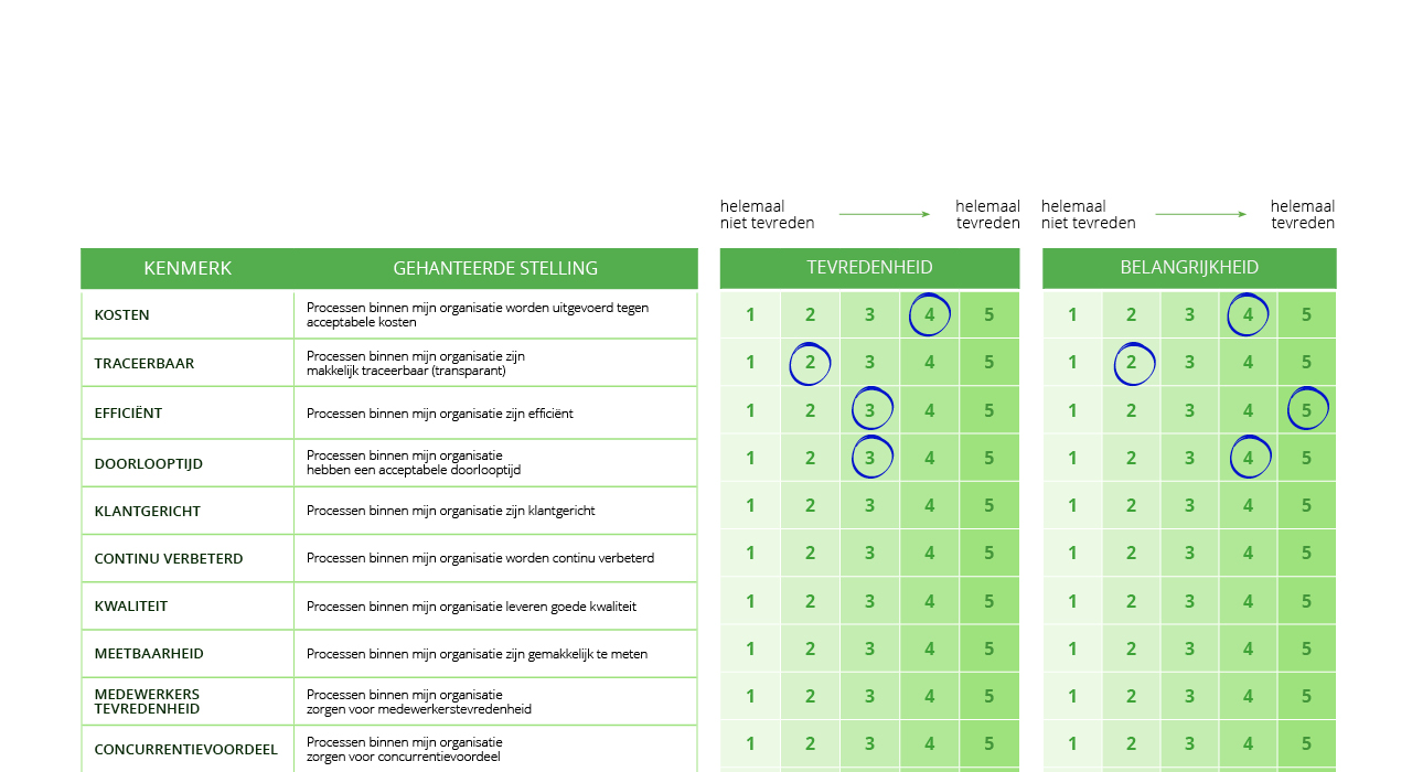 alnus assessmentprocessen grafische voorstelling