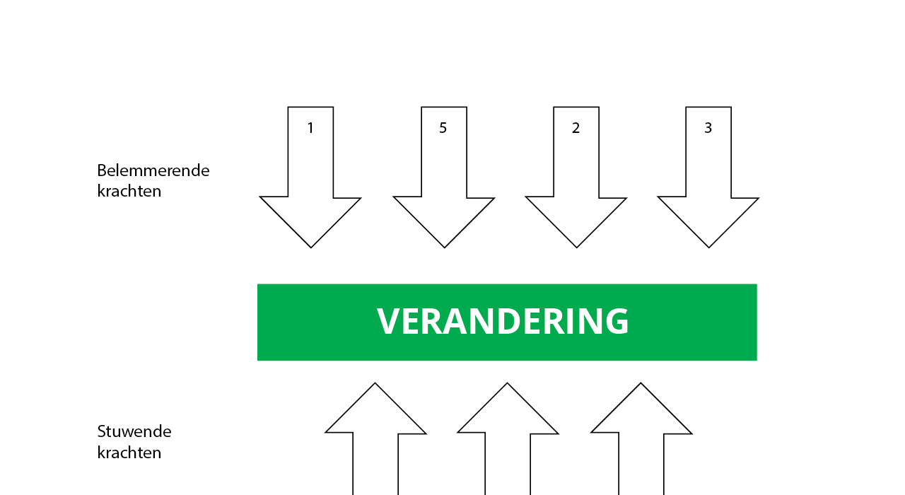 alnus krachtenveldanalyse grafische voorstelling