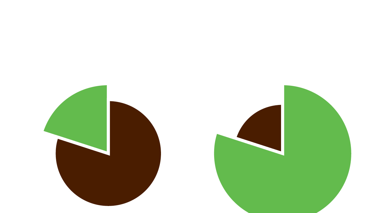 alnus - pareto principe grafische voorstelling