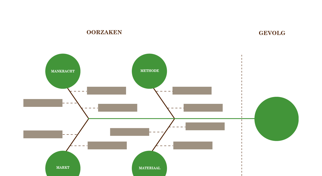 alnus visgraatdiagram grafische voorstelling