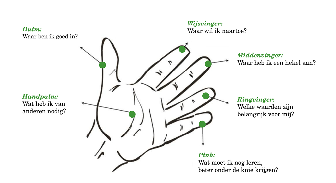 alnus zelfreflectie grafische voorstelling